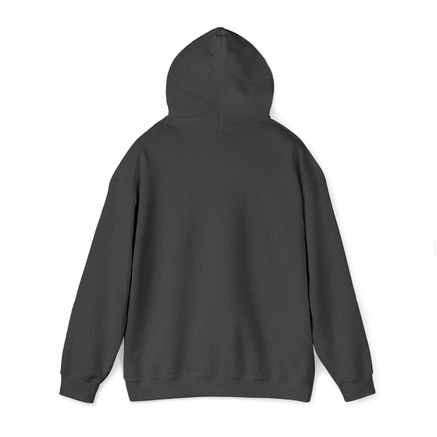 BITCOIN SAVANT HOODIE